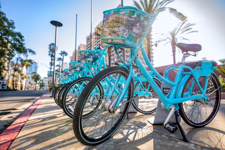 A row of bright blue bicycles in Long Beach